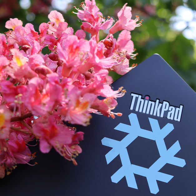 red horse-chestnut flower in front of a ThinkPad with a light blue Nix sticker